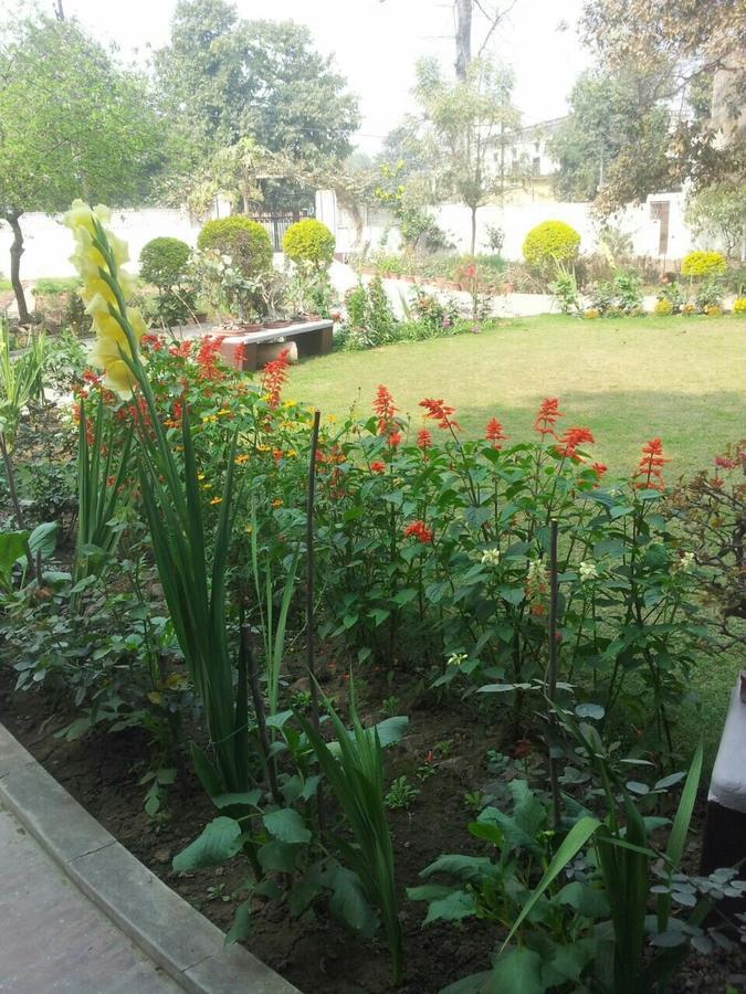 Vatika Homestay Varanasi Exterior photo